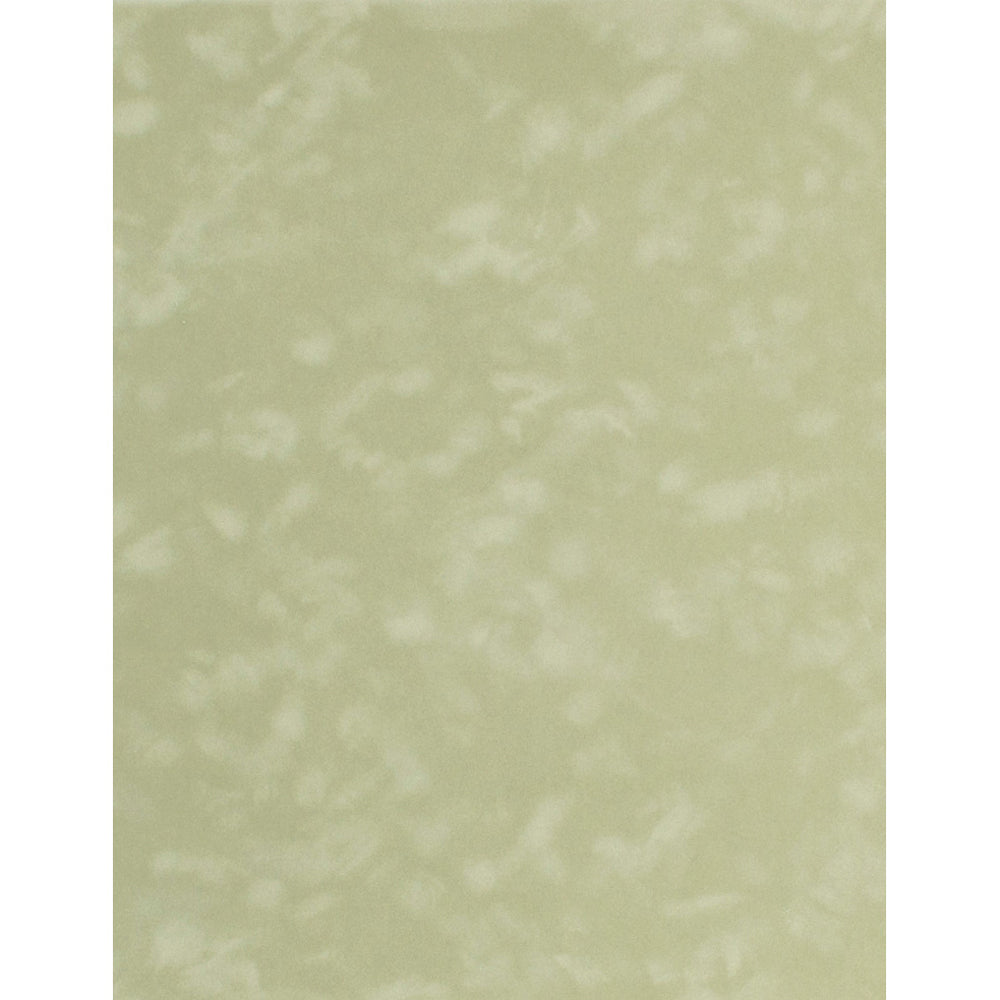 vps-p82 Asparagus Green Velvet Paper 12 sheets of 8 1/2